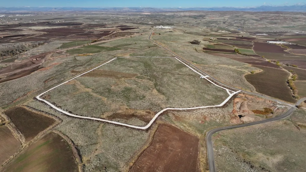 Diyarbakır’da sokak hayvanları için büyük adım: 195 dönümlük doğal yaşam alanı kuruluyor